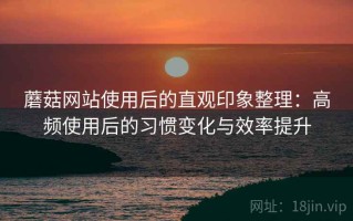 蘑菇网站使用后的直观印象整理：高频使用后的习惯变化与效率提升
