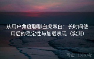 从用户角度聊聊白虎嫩白：长时间使用后的稳定性与加载表现（实测）