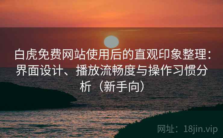 白虎免费网站使用后的直观印象整理：界面设计、播放流畅度与操作习惯分析（新手向）-第2张图片